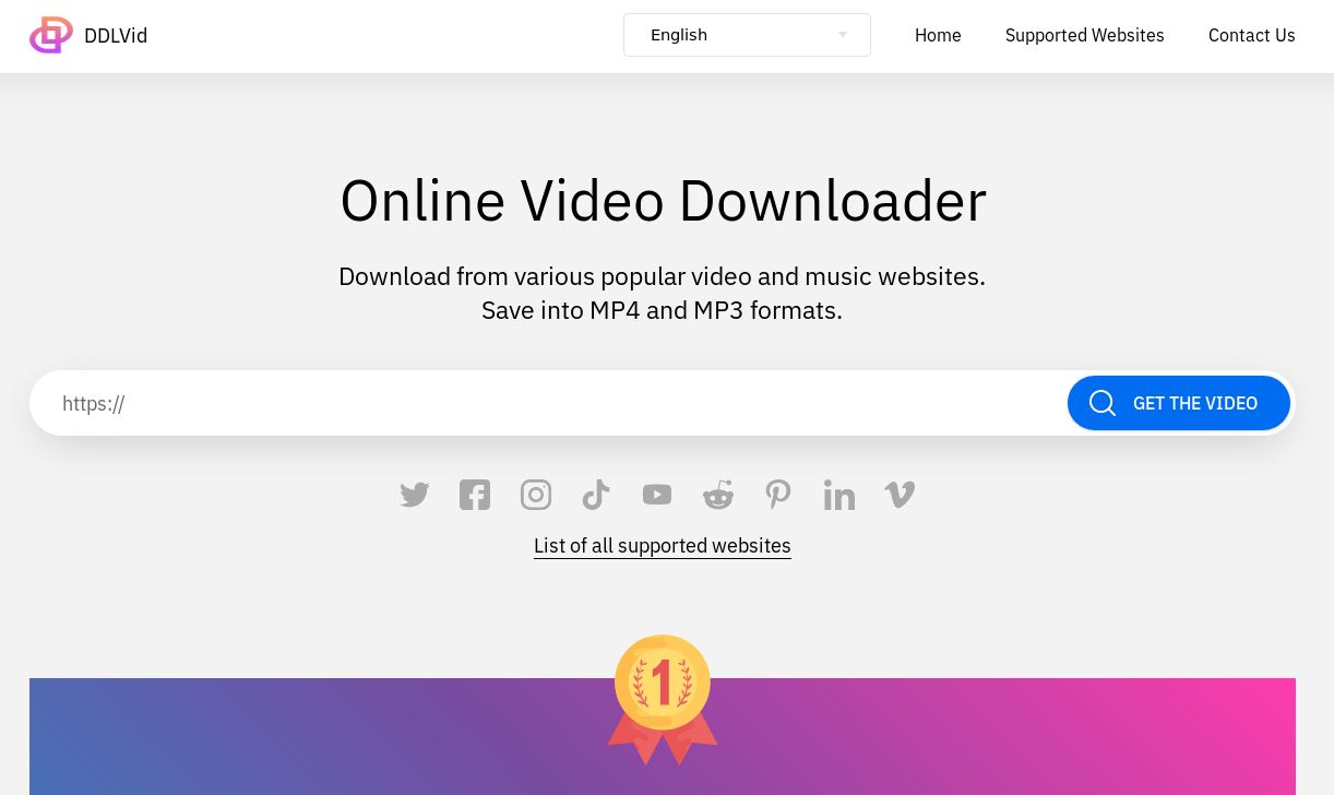 Online Video Downloader Ddlvid